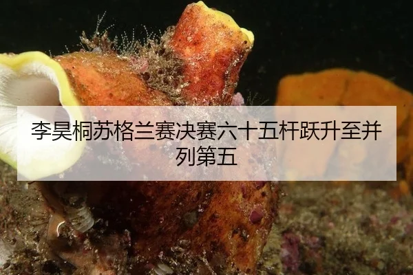 li-hao-tong-su-ge-lan-sai-jue-sai-liu-shi-wu-gan-yue-sheng-zhi-bing-lie-di-wu-1-135.jpg